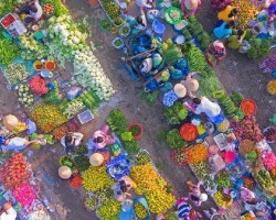 Chợ nông sản Thành phố Vị Thanh, tỉnh Hậu Giang