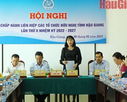 Bà Hồ Thu Ánh (đứng), Phó Chủ tịch UBND tỉnh đề nghị Liên hiệp các tổ chức hữu nghị tỉnh không ngừng quan tâm đổi mới nội dung, hình thức trong thực hiện nhiệm vụ công tác.