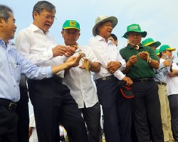 Ông Trương Cảnh Tuyên (thứ 2 từ trái sang), Phó Chủ tịch Thường trực UBND tỉnh, đến tham quan mô hình và xem trình diễn cơ giới hóa trong sản xuất lúa.