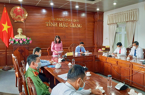 Bà Hồ Thu Ánh, Phó Chủ tịch UBND tỉnh, tham gia ý kiến tại điểm cầu Hậu Giang.