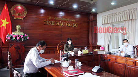 Bà Hồ Thu Ánh, Phó Chủ tịch UBND tỉnh, tham dự hội nghị tại điểm cầu Hậu Giang.