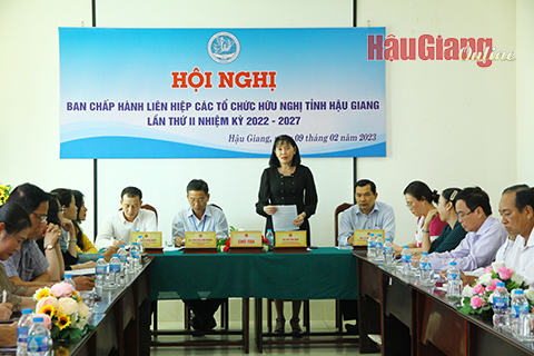 Bà Hồ Thu Ánh (đứng), Phó Chủ tịch UBND tỉnh đề nghị Liên hiệp các tổ chức hữu nghị tỉnh không ngừng quan tâm đổi mới nội dung, hình thức trong thực hiện nhiệm vụ công tác.