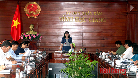Bà Hồ Thu Ánh, Phó Chủ tịch UBND tỉnh, phát biểu tại buổi làm việc.