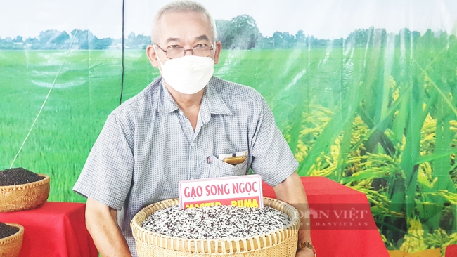 Festival lúa gạo Việt Nam năm 2023 sẽ được tổ chức tại Hậu Giang. Trong ảnh, nông dân trưng bày sản phẩm gạo tại Festival lúa gạo Việt Nam năm 2022 được tổ chức tại Vĩnh Long