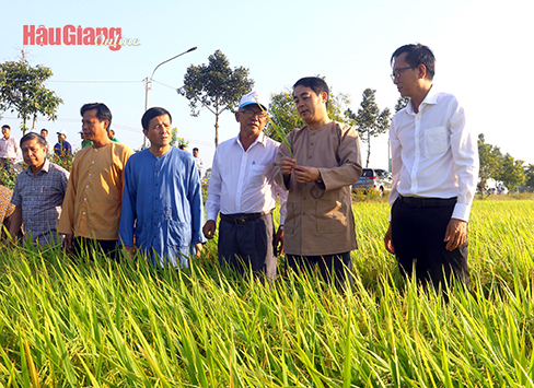 Ông Nghiêm Xuân Thành (thứ 2 từ phải sang), Ủy viên Trung ương Đảng, Bí thư Tỉnh ủy, trao đổi với người dân về quy trình canh tác lúa chất lượng cao tại buổi thăm đồng đầu năm.
