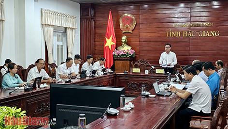 Ông Nguyễn Đăng Hải, Giám đốc Sở Kế hoạch và Đầu tư tỉnh Hậu Giang, đề xuất nhiều ý kiến tại hội nghị.