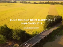 Mekong Delta Marathon - Hậu Giang 2019